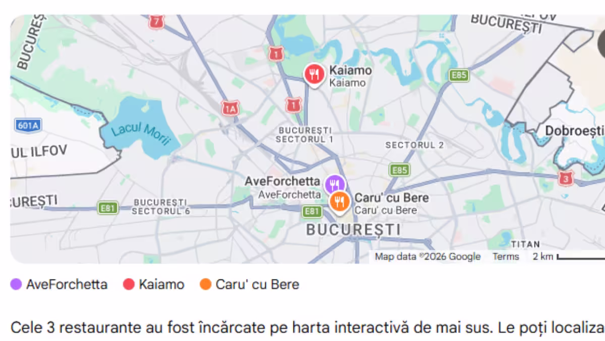 Afacere locala recomandata in raspunsuri AI prin SEO local